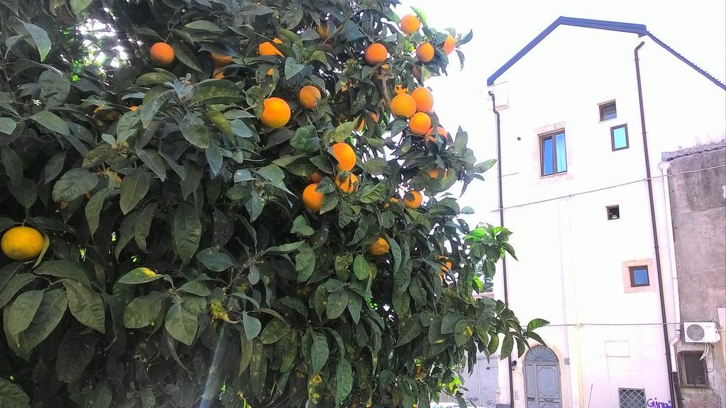 Odeonhouse - Catania - Parking Included Apartment Exterior photo